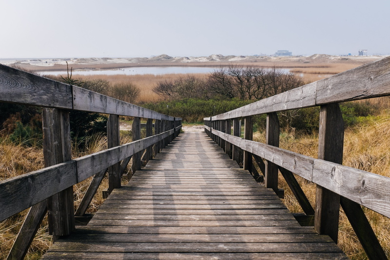 hills, no people, non-urban scene, boardwalk, path, stairs, landscape, bridge, wood - material, beside, bushes, trees, wooden, sky, connection, leaf, downstairs