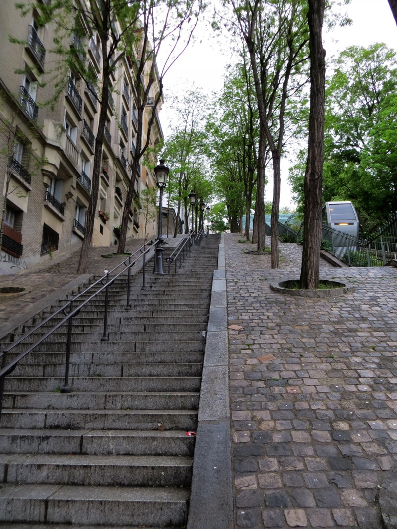 stairway, nature, the way forward, empty, concrete, tree, stone, green, trees, near, plant, long, staircase, no people, gray, paris, stair, footpath, stairs