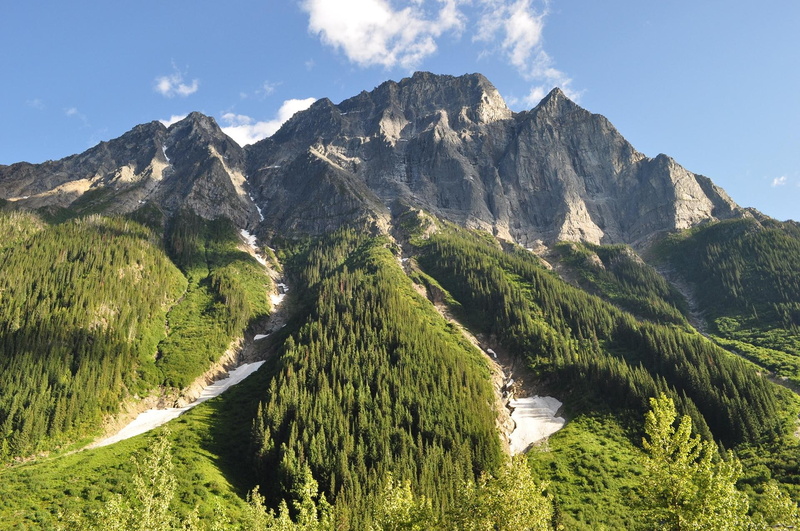 snowy peaks, 1080P, nature and landscapes, going, landscapes, mountains, forest