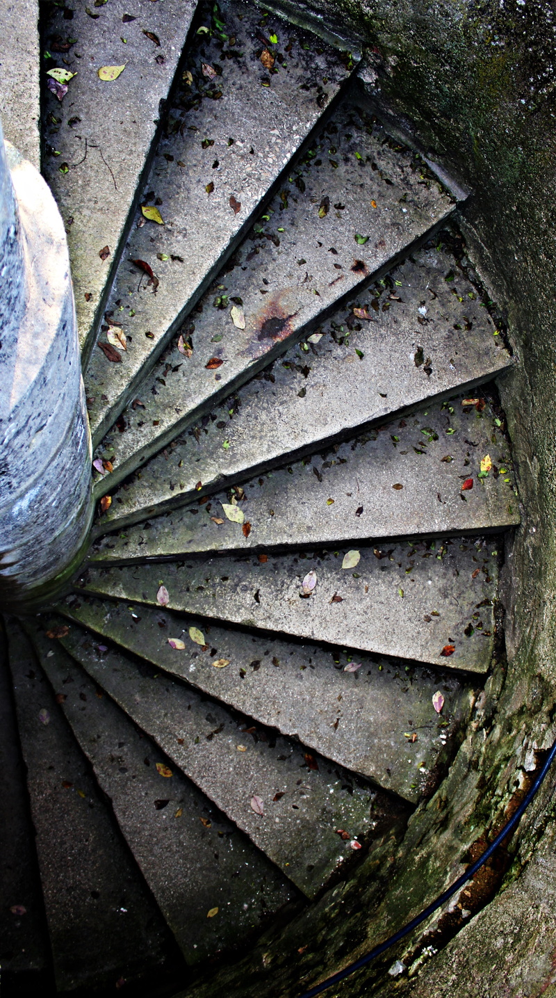 spiral staircase, change, tree, day, gradually, wet, outdoors, directly above, down, metal, plant, get off, 4K, stair, autumn, stair step, leaf, no people