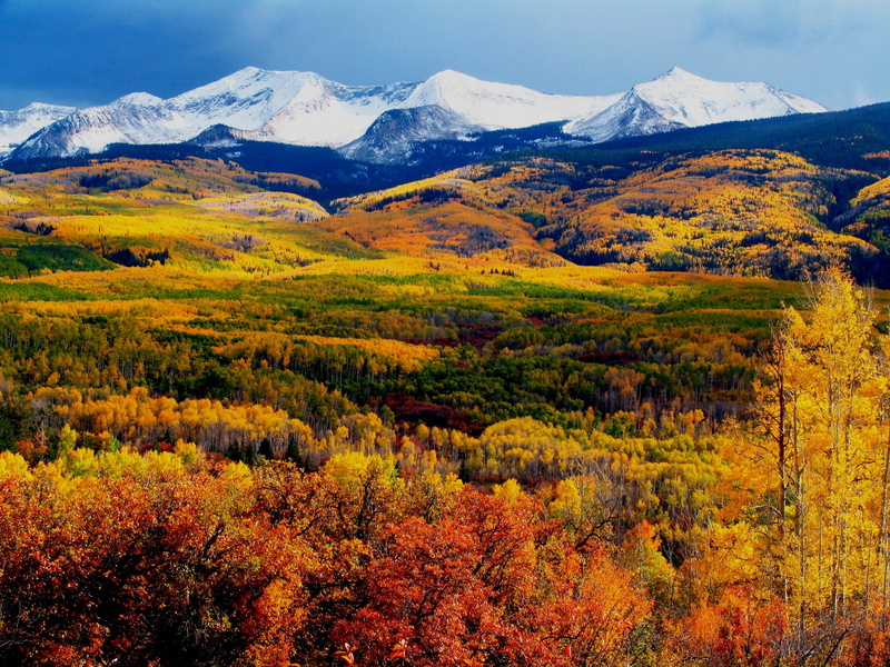 orange, multi Colored, top, fall  colors, crested butte, view, white, nature, scenics, photo, yellow, landscape, beauty In Nature, 2K, snow field, outdoors