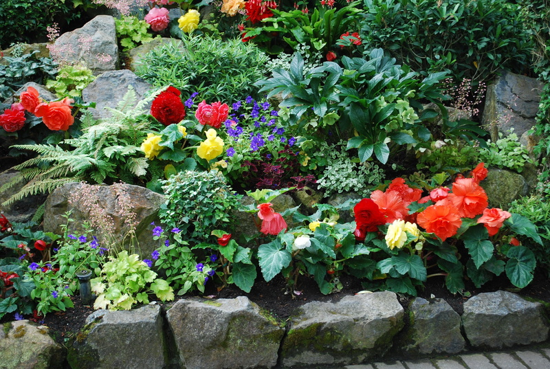variation, stone wall, flower, beauty in nature, garden, flora, growth, green color, formal garden, bloom, floral, summer, flowerbed, nature, plants, butchart