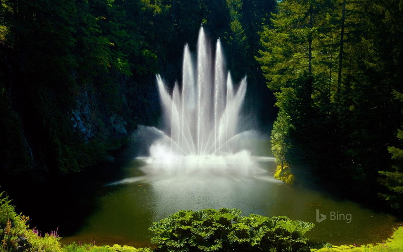 foliage, lush foliage, flowing, flowing water, no people, bing, waterfall, fountain, 1080P, nature, ross, canada, rainforest, power in nature, long exposure