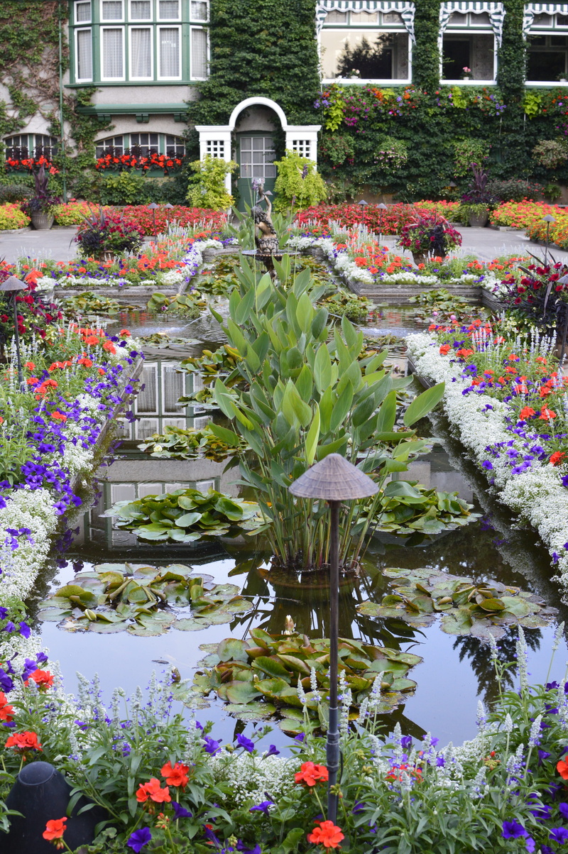 growth, ornamental garden, building exterior, flowering plant, outdoors, colorful, garden, building, 5K, plant part, no people, water, beauty in nature