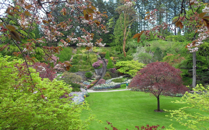 victoria, design, canada, 1080P, branches, butchart