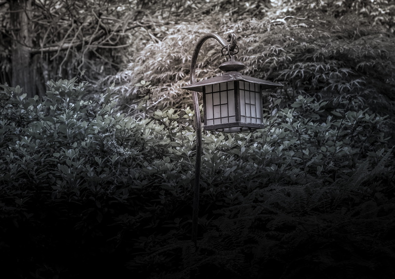 field, butchart gardens, grass, animal, lighting equipment, nature, house, day, light, growth, vertebrate, built structure, building, 4K, landscape, land