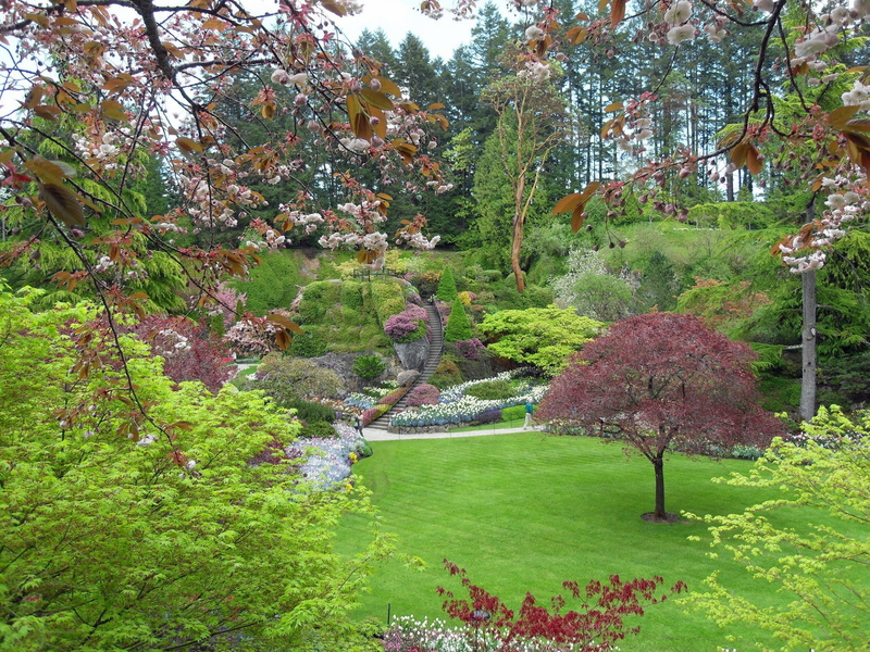 land, green color, water, park, outdoors, plant, idyllic, growth, beauty in nature, nature, tranquil scene, scenics - nature, flower, foliage, tranquility