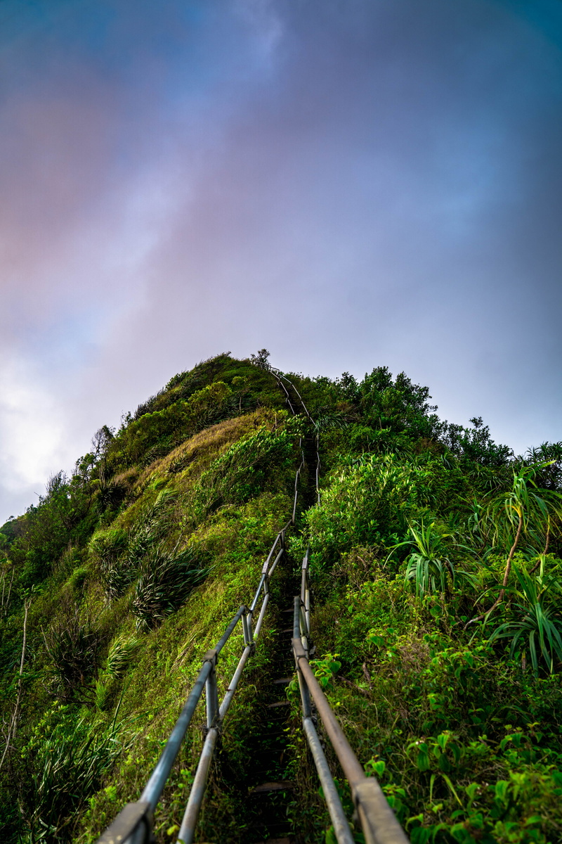 outdoors, mountain range, sky, mountain, field, non-urban scene, oahu, tropcial, jungle, no people, tranquil scene, day, land, beauty in nature, green color
