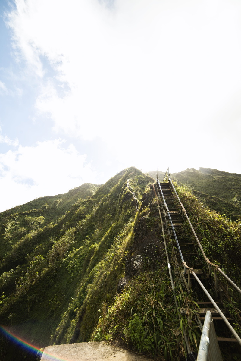 tree, rail, hiking, walking, trail, mountain road, wandern, hawaii, beauty in nature, hill, no people, outdoors, green color, 4K, green, road, day, plant