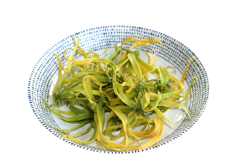 directly above, ylang-ylang, flower, indoors, high angle view, 4K, still life, herb, cananga, cut out, vegetable, bowl, studio shot, close-up, healthy eating