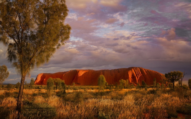 Tree, Australia, Sunset, Rock, 1080P, Uluru, Landscape, Ayres Rock, Earth