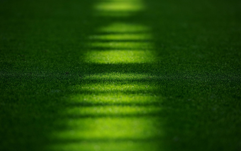 grass, soccer, selective focus, pattern, american football field, textured, outdoors, playing Field, shadow, Emirates, dark, green, leisure activity, turf
