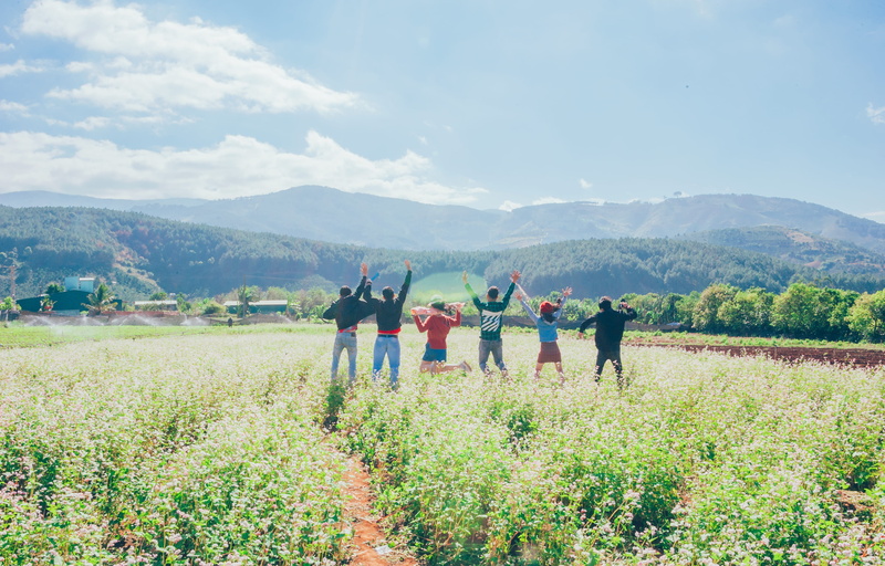 six, grassland, environment, summer, group together, field, cropland, cloud - sky, day, standing, growth, tree, real people, people, scenic, hill, farm