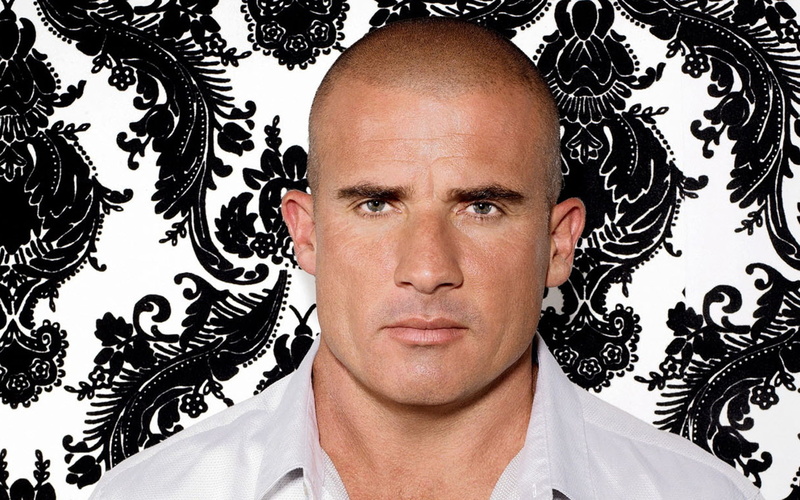 serious, prison, purcell, 1080P, actor, break, dominic