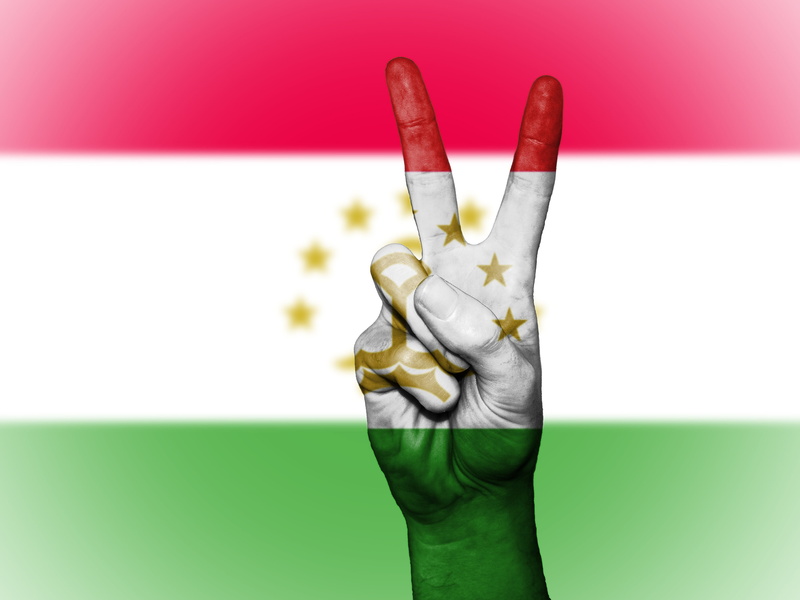 unrecognizable person, copy space, symbol, nation, body paint, art and craft, banner, travel, 4K, human hand, human finger, close-up, green color, ensign