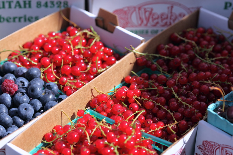 farm, retail display, farmers market, entrepreneurship, currants, ripe, box, box - container, market stall, high angle view, freshness, produce, for sale
