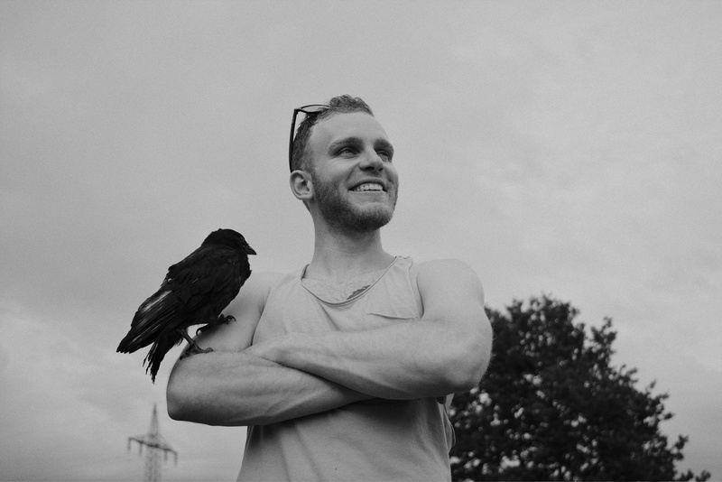 bird, one animal, smiling, front view, plant, outdoor, top, day, real people, animals in the wild, sky, 5K, vertebrate, animal wildlife, outdoors, crow