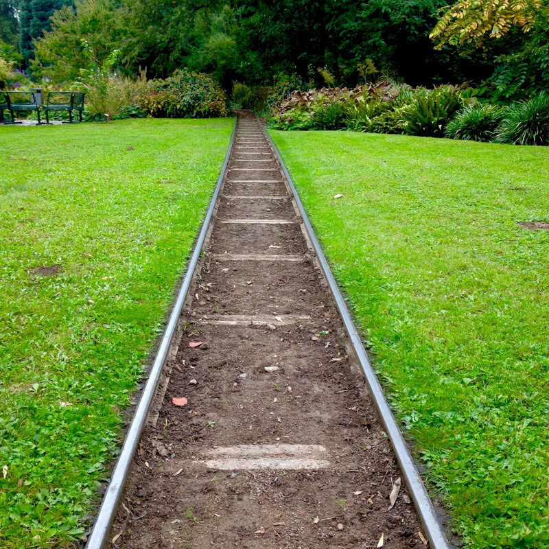 day, plant, undertake, entrepreneur, direction, nature, track, growth, land, path, diminishing perspective, 1080P, footpath, rail transportation, tranquil scene