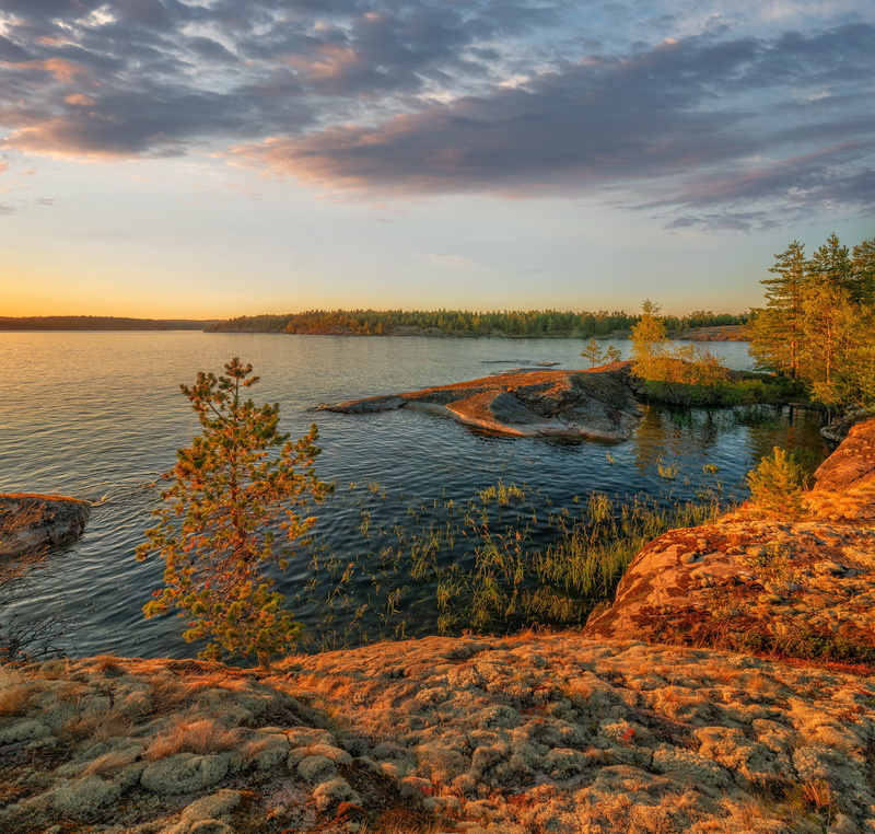 trees, nature, 1080P, Karelia, stones, Skerries, forest, Bank, Ladoga, landscape, Vladimir Ryabkov, sunset, Lake Ladoga, lake, autumn