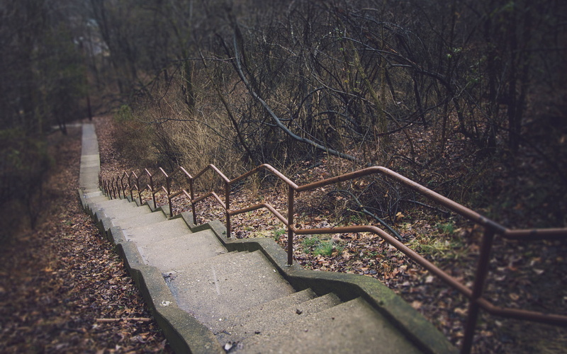 hd, nature, 1080P, path, trail, stairs