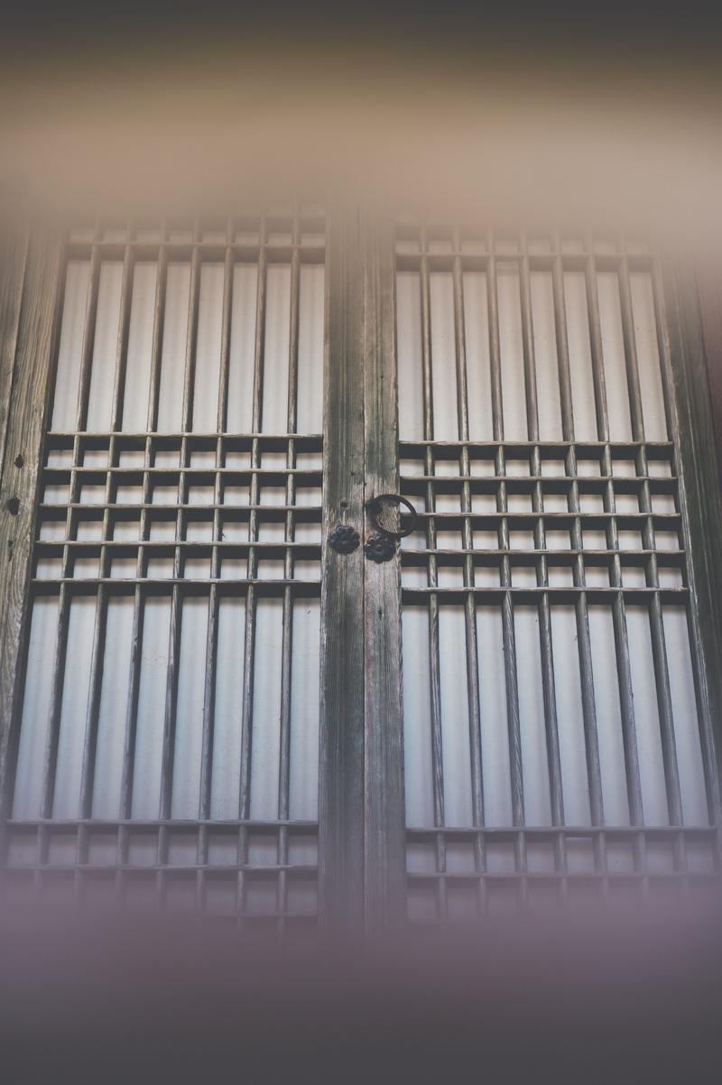 nature, window, selective focus, door, day, wall - building feature, close-up, 4K, palace, metal, pattern, built structure, full frame, security, protection