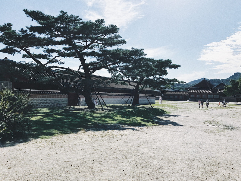 landscape, day, cloud - sky, nature, plant, building exterior, outdoors, korea, field, south korea, residential district, house, sky, built structure, land
