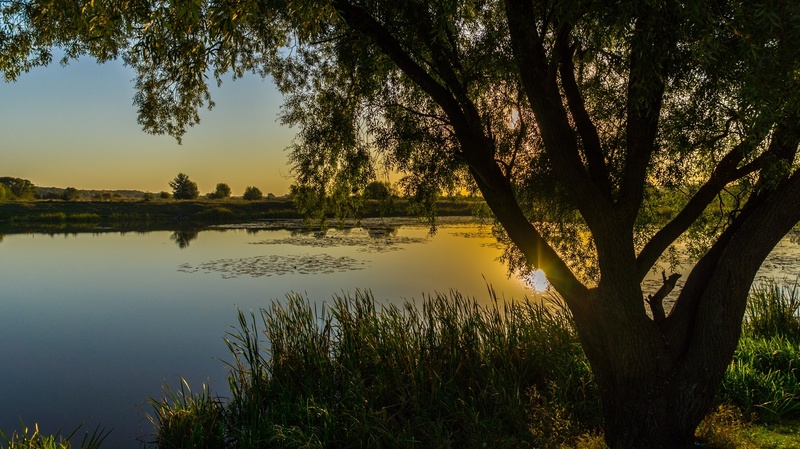 growth, non-urban scene, autumn, no people, idyllic, sky, sunlight, 1080P, reflection, plant, sunset, lake, kursk, outdoors, tranquil scene, tree, beauty in nature