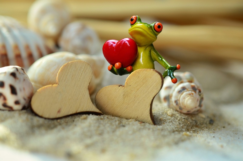 heart, maritime, affection, indoors, pair, mussels, green, emotion, love, red, sand, art and craft, i love you, animal representation, food and drink, freshness
