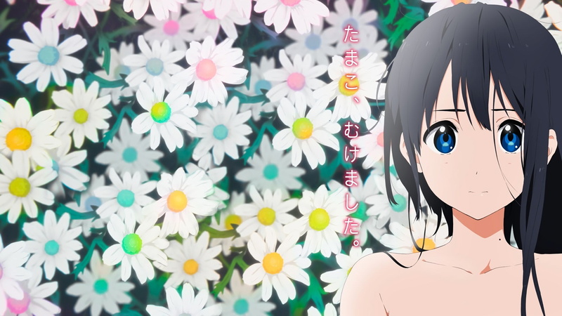 1080P, tamako market