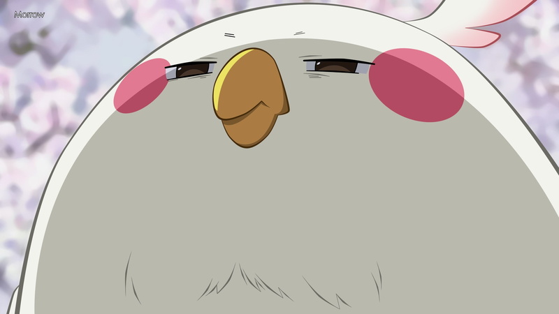 1080P, tamako market
