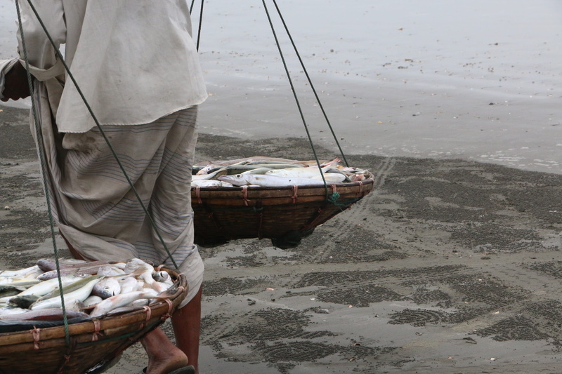 bangladesh, beach, land, sea, standing, moored, mode of transportation, nautical vessel, water, men, chittagong, low section, sailboat, 5K, day, transportation
