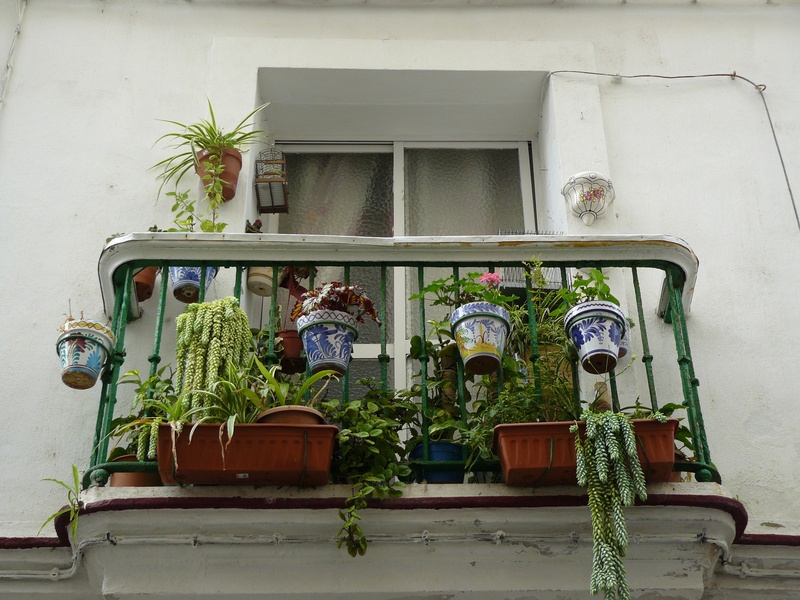 plant, facade, apartments, floral decorations, window, hanging plant, balconies, maritime, building exterior, accommodation, holiday, summer, balcony plants