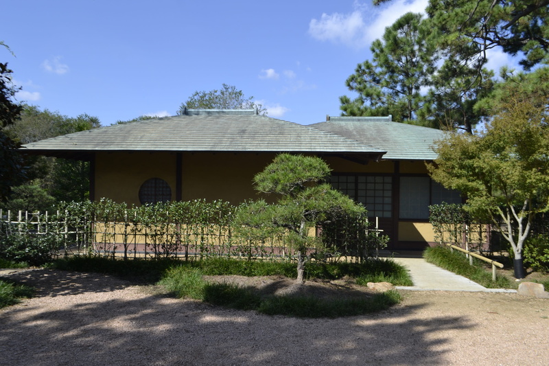 sunny, environment, light, oriental, fresh, built structure, blossom, trees, zen, sun, pavilion, nature, sky, houston texas, leaf, architecture, green