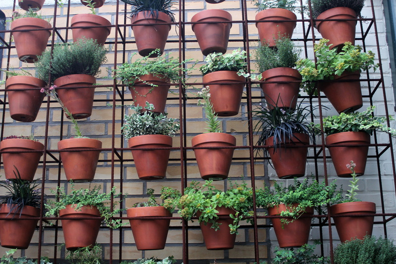 side by side, plant part, nature, potted plant, still life, ivy, reinforcement, no people, 5K, deco, garden, planted, architecture, red, city, summer