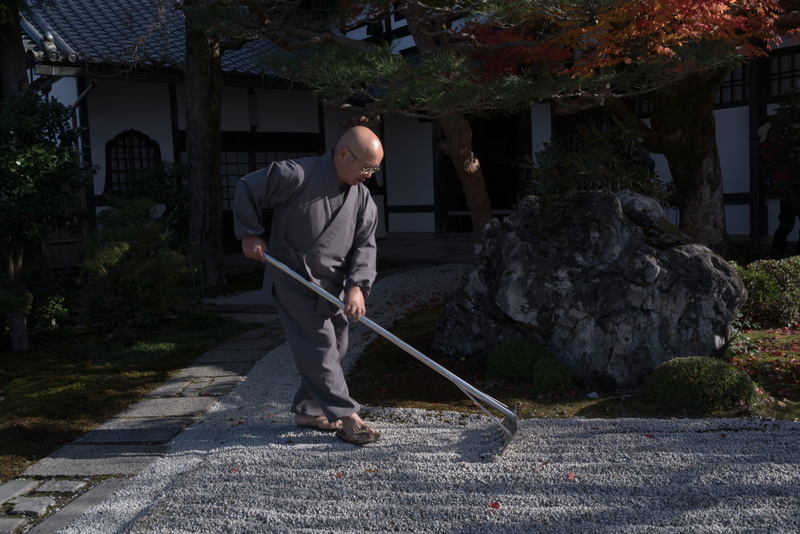 casual clothing, cleaning, japanese garden pune, green, lifestyles, hassent japanese garden, japanese garden, japanese garden documentary, cottered japanese garden