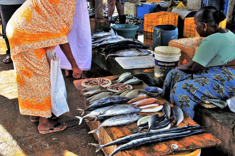 sell off, for sale, food and drink, shopping, colorful, business, woman sitting, flip, outdoors, choice, raw food, sri lanka, women, freshness, the style of the country
