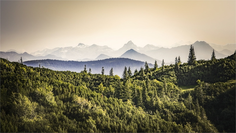 Annaberg, Austria, 1080P, mountains, forest