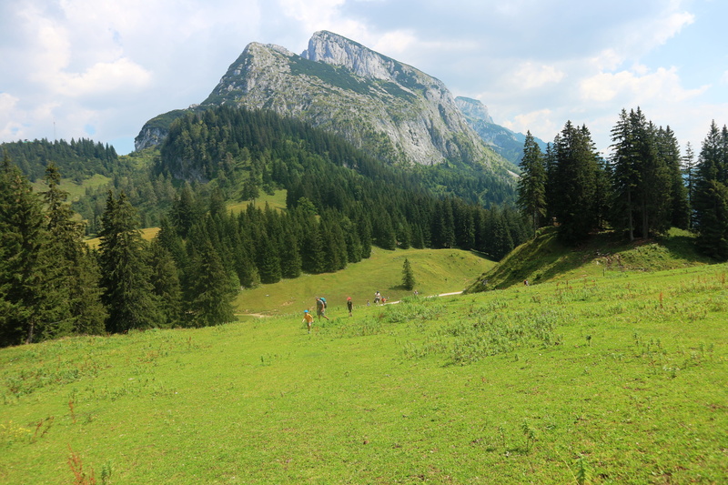 idyllic, panorama, green color, enjoy, outdoors, tranquility, summer, day, scenics - nature, grass, sky, growth, annaberg-lungötz, 5K, hiking, nature