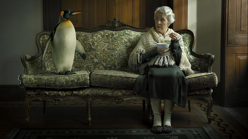 bird, 1080P, yellow, black, 1920x1080, white, funny, figurine, penguin, granny