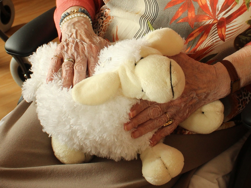 old house, celebration, senior adult, s, plush, jewelry, old, person, midsection, stuffed animals, lap, sheep, white, toy, adult, human body part, women