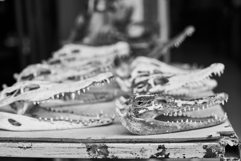 collection, market, ornament, 8K, black and white, ready-to-eat, wild, crocodile, baguio, indoors, food and drink, celebration, cambodia, still life, shoe