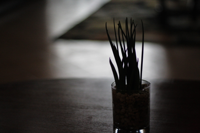 4K, still life, soil, the forest lodge, close-up, glass - material, bottle, art and craft equipment, focus on foreground, day, baguio, single object, ink