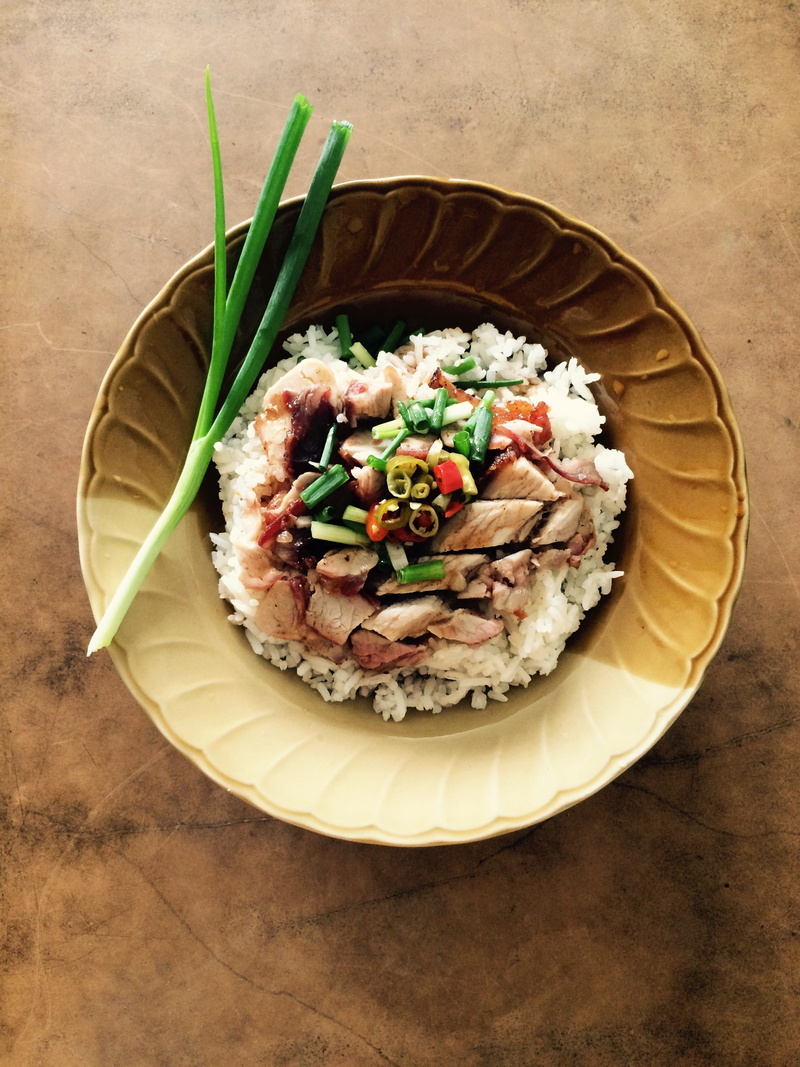 pork, ceramic, food and drink, thai, plate, brown, ready-to-eat, thailand, japanese food, serving size, temptation, bowl, indoors, high angle view, meat