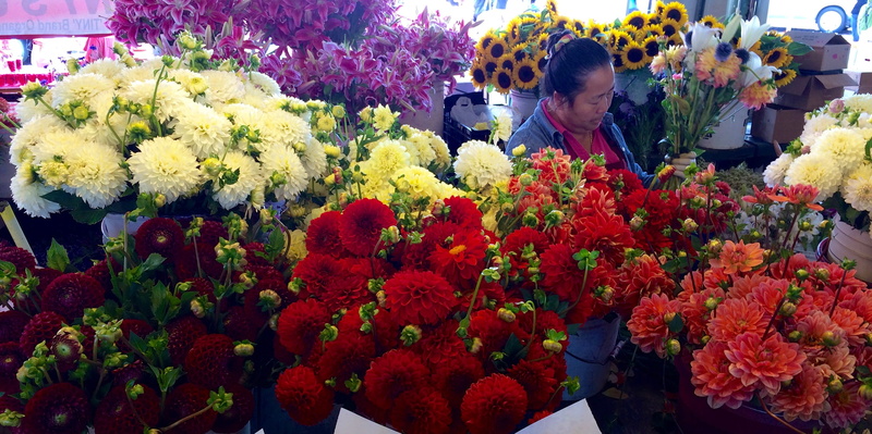small business, for sale, abundance, retail display, seattle, dahlia, united states, freshness, fragility, real people, vulnerability, flowers, plant, retail