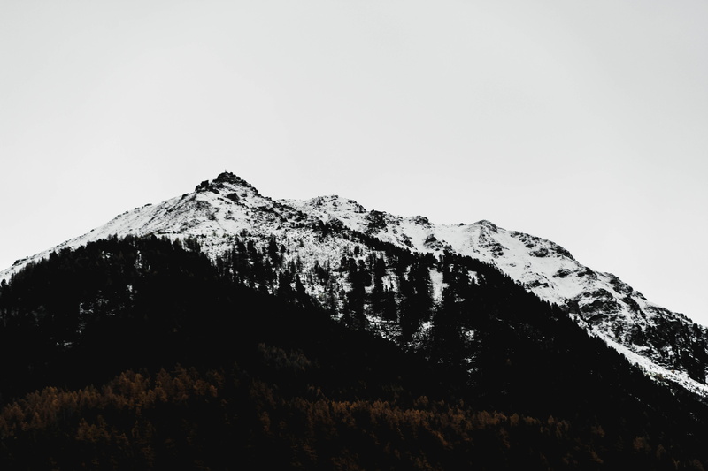 soft, snowcapped mountain, scenics - nature, background, beauty in nature, copy space, swiss, tranquil scene, cold temperature, plant, mountain range, mountain