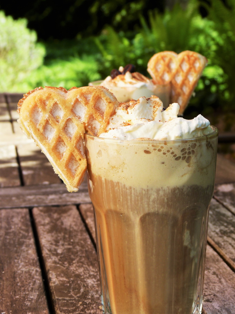 day, enjoy, close-up, grain coffee, indulgence, cold, refreshment, cream, garden, summer, ice cream, cold beverage, invite, dessert, vanilla ice cream