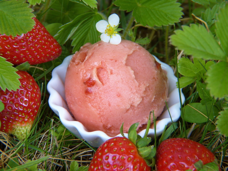 strawberries, frisch, temptation, leaves, gluten, holidays, summer, plant part, ice cream, enjoy, pink, food, strawberry ice cream, fruit, err, fruit ice cream