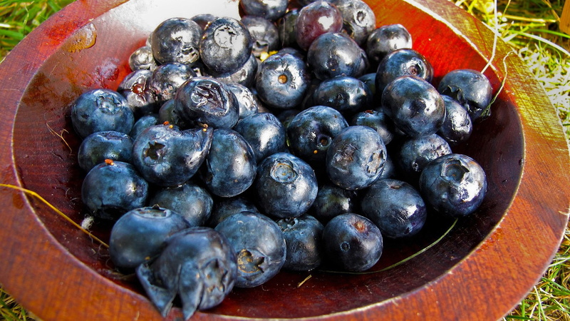 grape, antioxidant, blueberries, high angle view, food, organic, healthy eating, nature, day, blueberry, ripe, agriculture, fruit, berry fruit, freshness