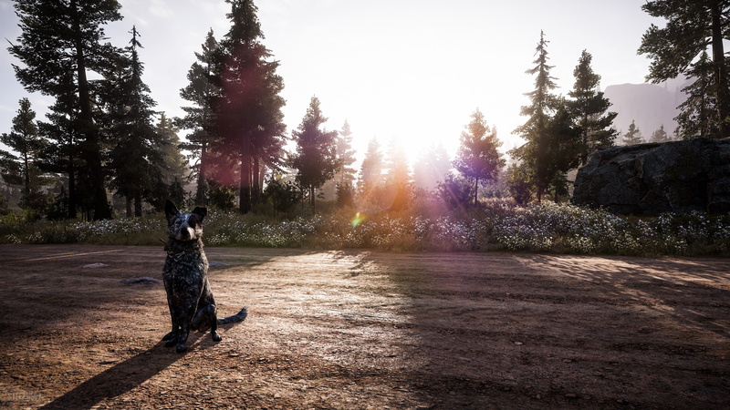 Think Divine, screenshot, Hope County, 4K, Far Cry 5, 4K