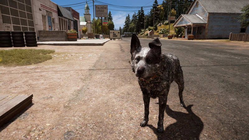 Far Cry, Far Cry 5, 1080P